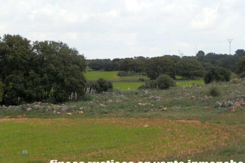 680_fincas-en-venta-11