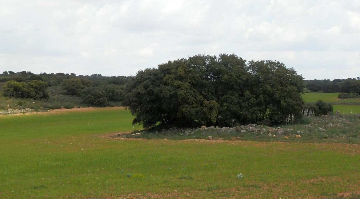 680_fincas-en-venta-12
