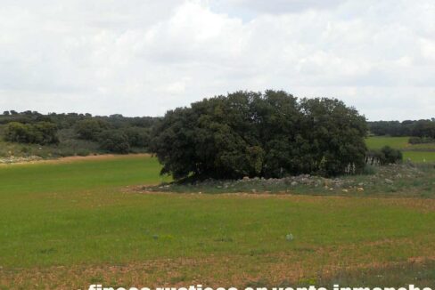 680_fincas-en-venta-12