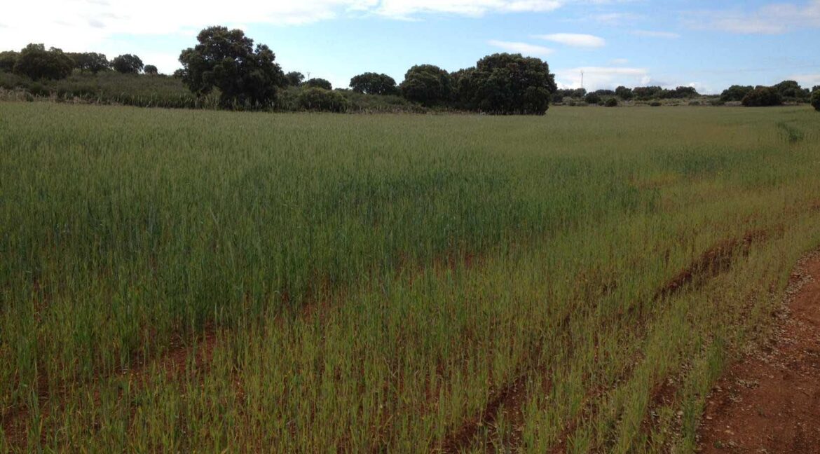 680_fincas-en-venta-2