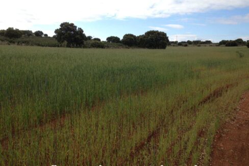 680_fincas-en-venta-2