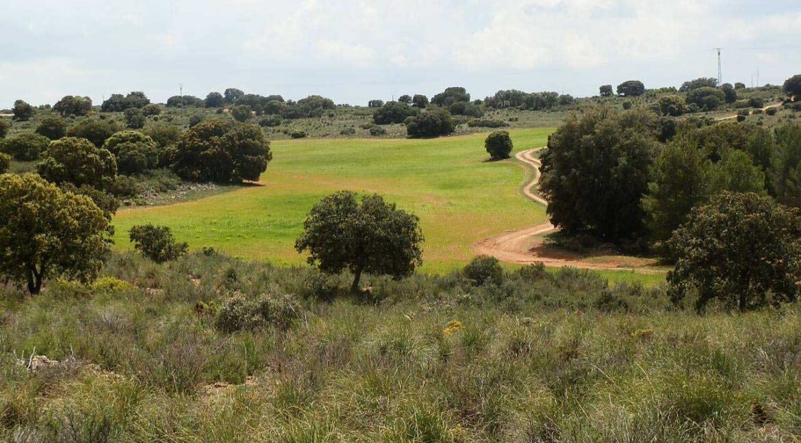 680_fincas-en-venta-30