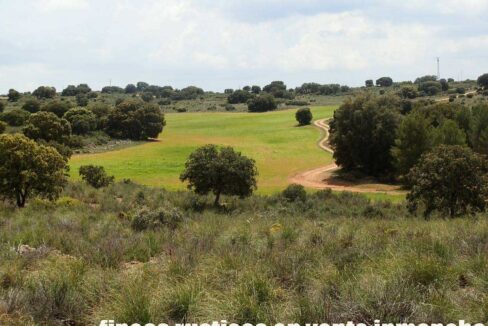680_fincas-en-venta-30