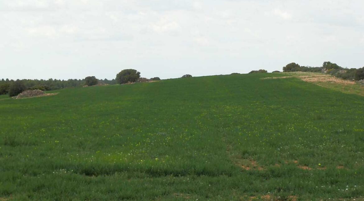 680_fincas-en-venta-40