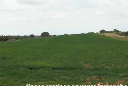 680_fincas-en-venta-40