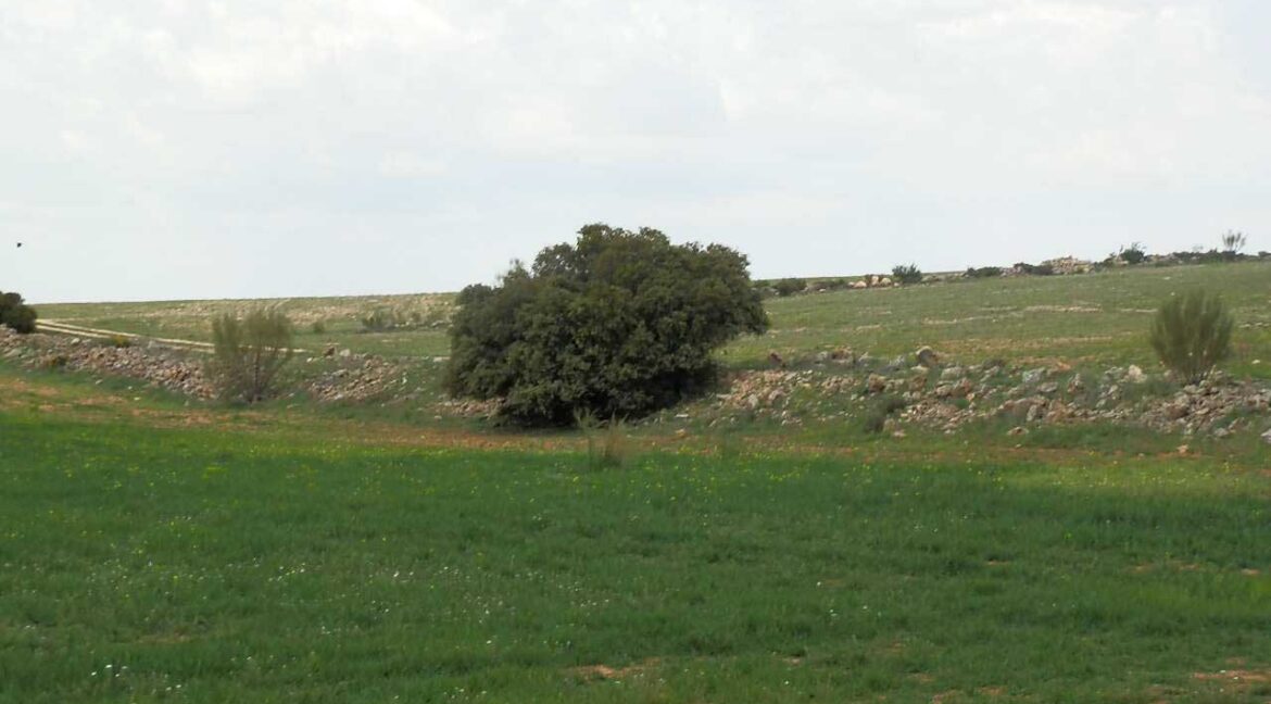 680_fincas-en-venta-41