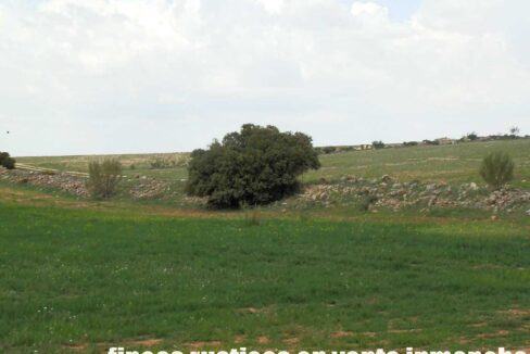 680_fincas-en-venta-41