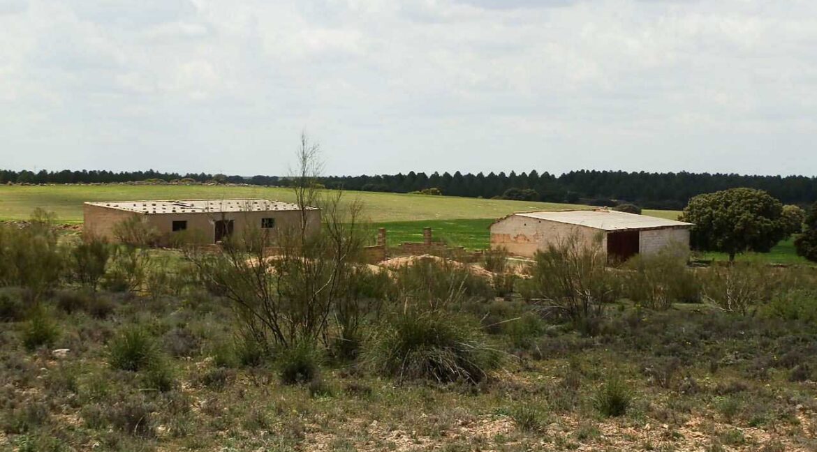 680_fincas-en-venta-42