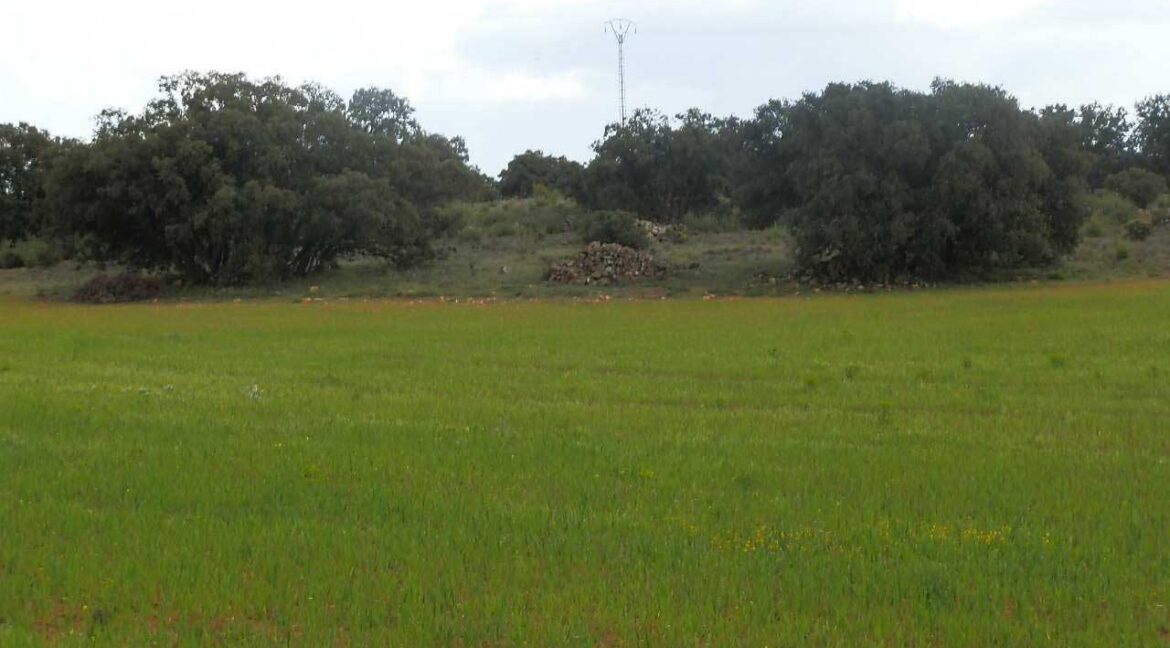 680_fincas-en-venta-79