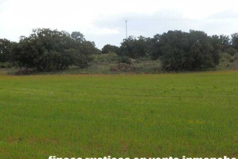 680_fincas-en-venta-79