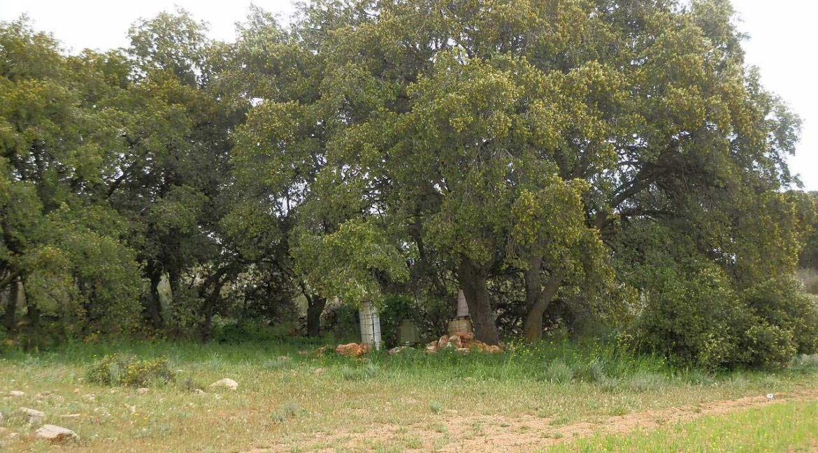 680_fincas-en-venta-80