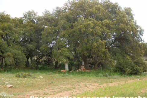 680_fincas-en-venta-80