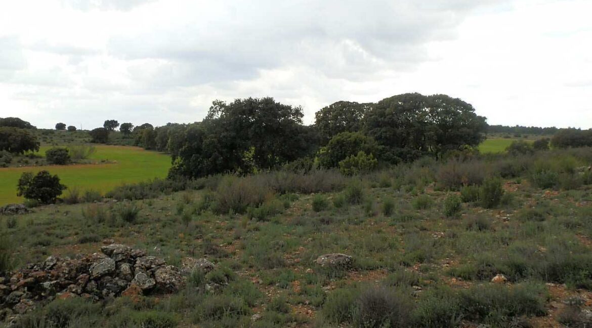 680_fincas-en-venta-81