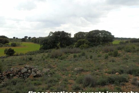 680_fincas-en-venta-81
