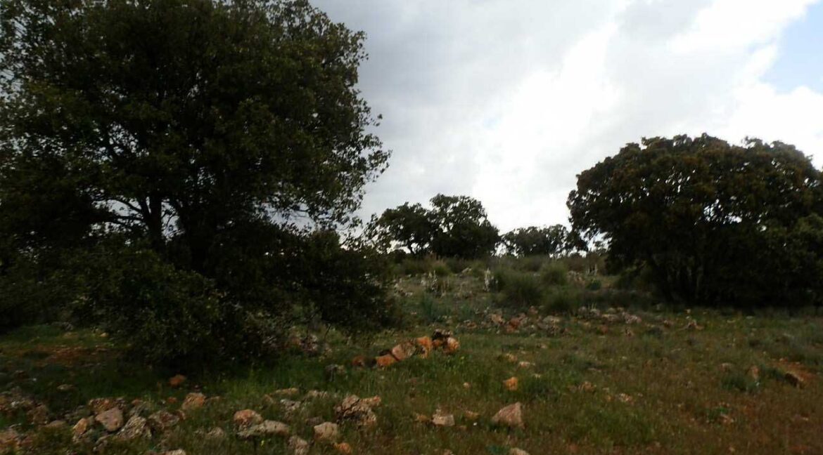 680_fincas-en-venta-83