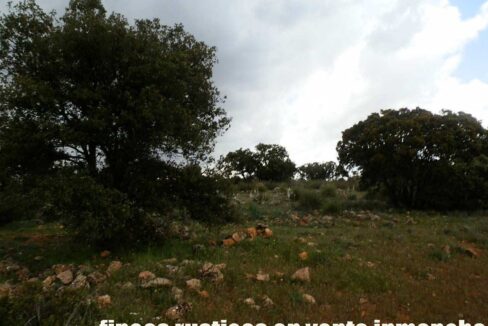 680_fincas-en-venta-83