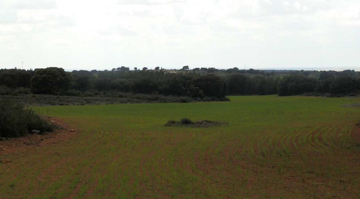 680_fincas-en-venta-84