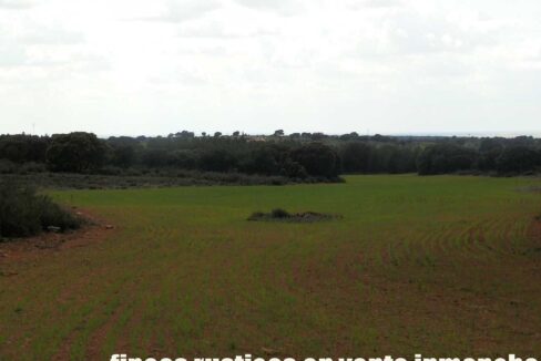 680_fincas-en-venta-84