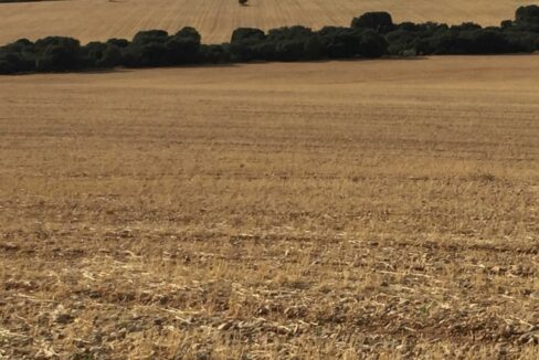 681_fincas-en-venta-18