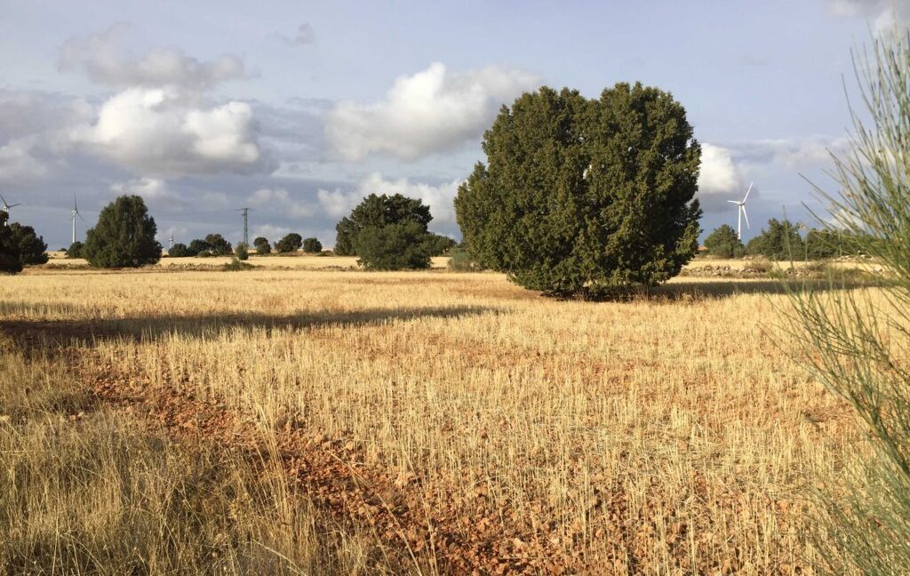 681_fincas-en-venta-25