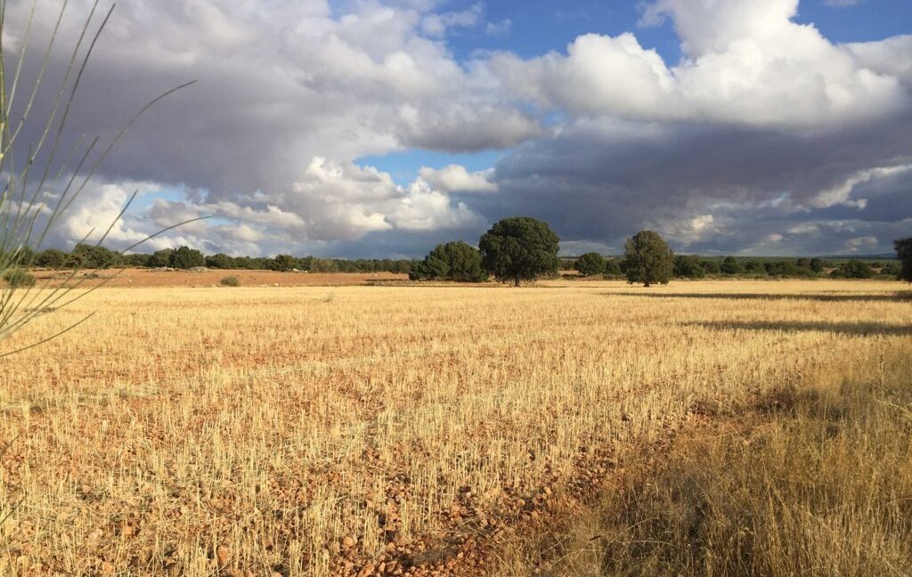 681_fincas-en-venta-26
