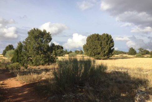 681_fincas-en-venta-28
