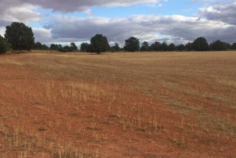 681_fincas-en-venta-34
