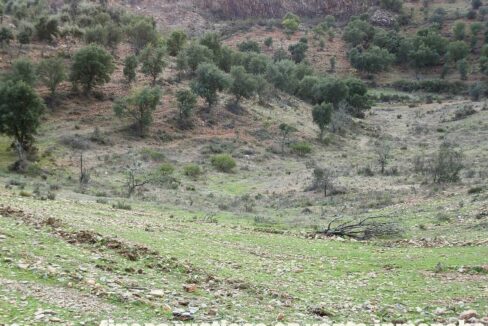 682_fincas-en-venta-38