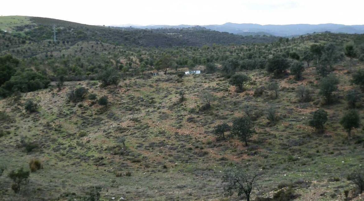 682_fincas-en-venta-39