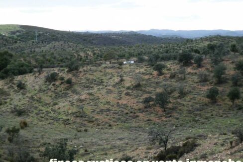 682_fincas-en-venta-39