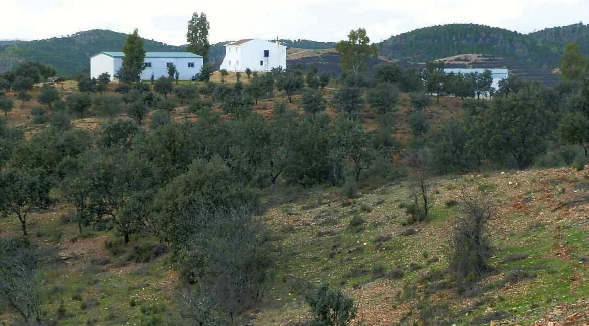 682_fincas-en-venta-40