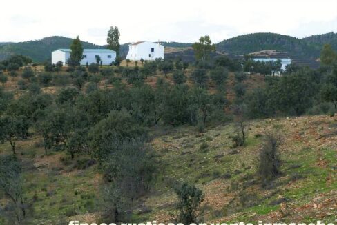 682_fincas-en-venta-40