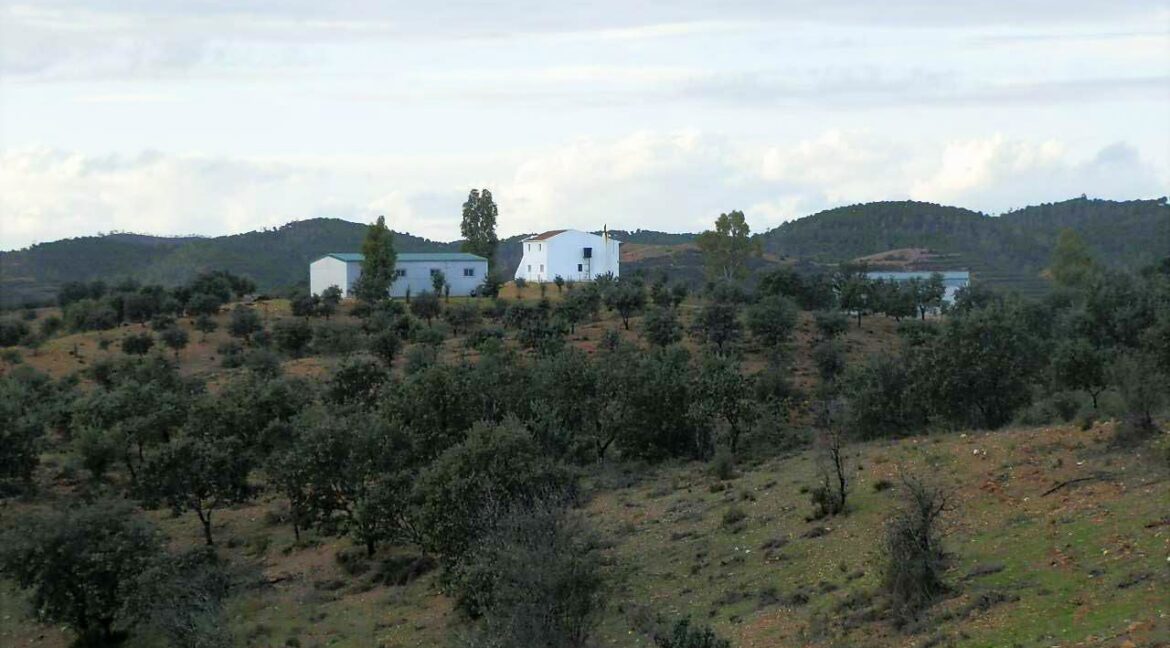 682_fincas-en-venta-41