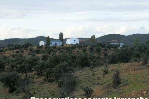 682_fincas-en-venta-41