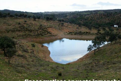 682_fincas-en-venta-44