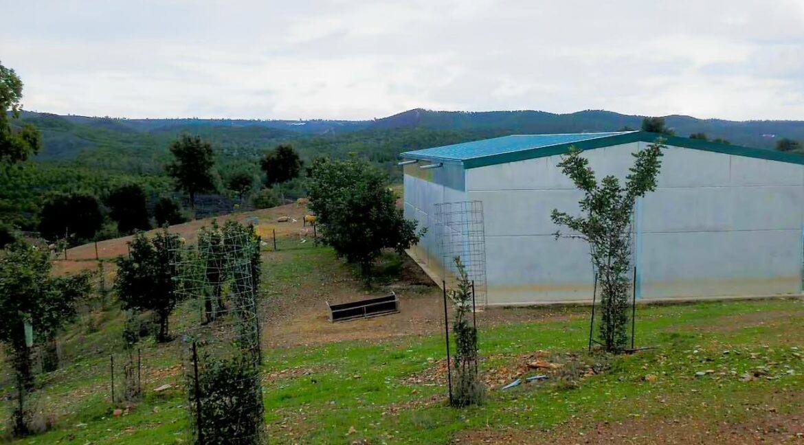682_fincas-en-venta-46