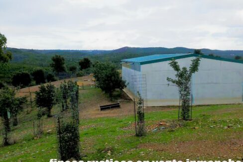 682_fincas-en-venta-46