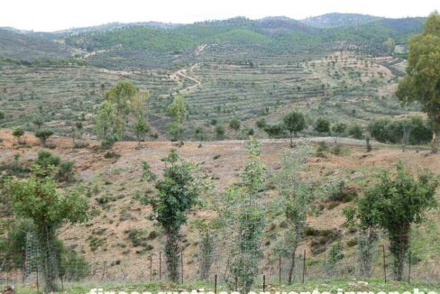 682_fincas-en-venta-47