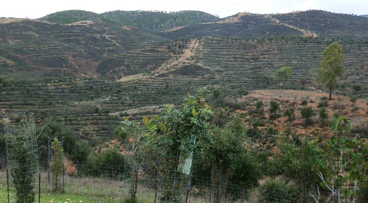 682_fincas-en-venta-48