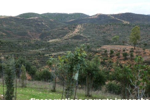 682_fincas-en-venta-48