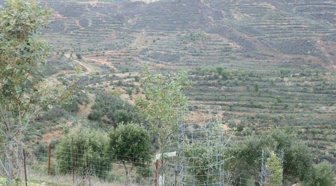 682_fincas-en-venta-49