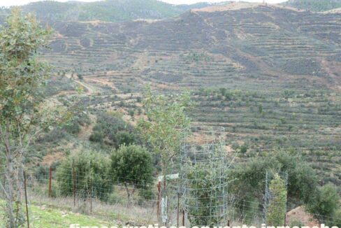 682_fincas-en-venta-49
