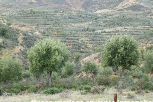 682_fincas-en-venta-50