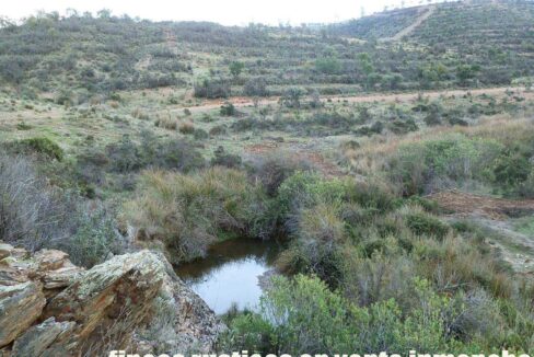 682_fincas-en-venta-59