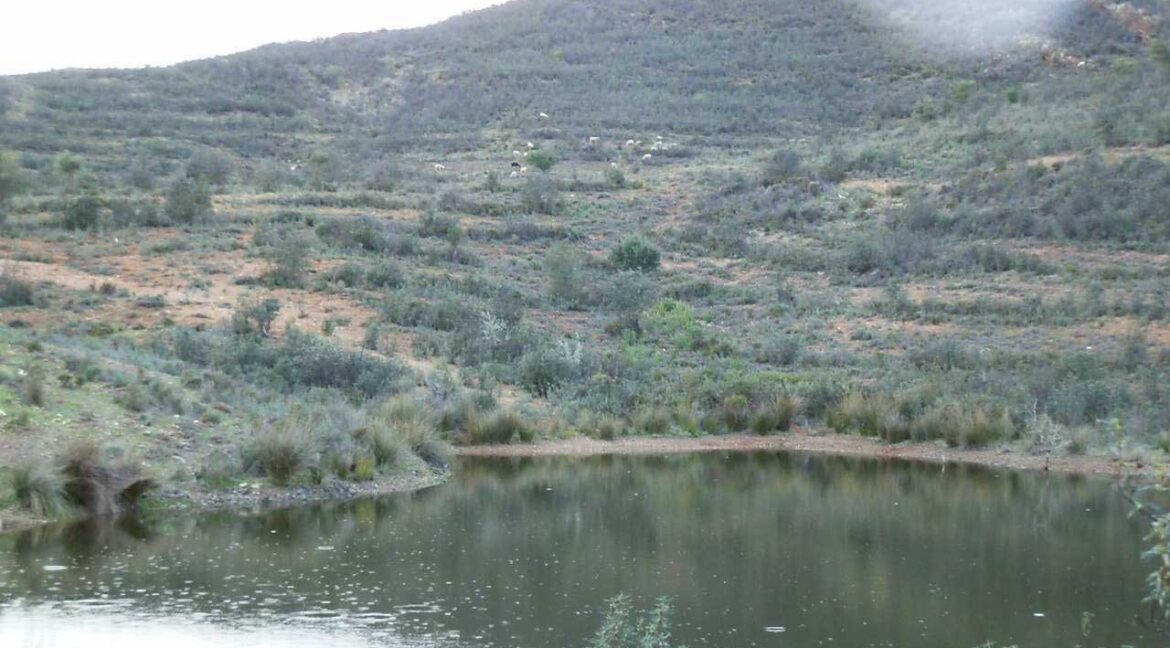 682_fincas-en-venta-62