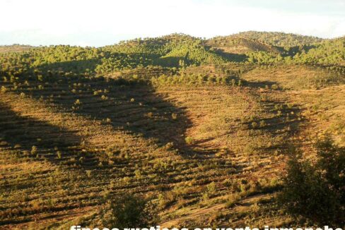 682_fincas-en-venta-70