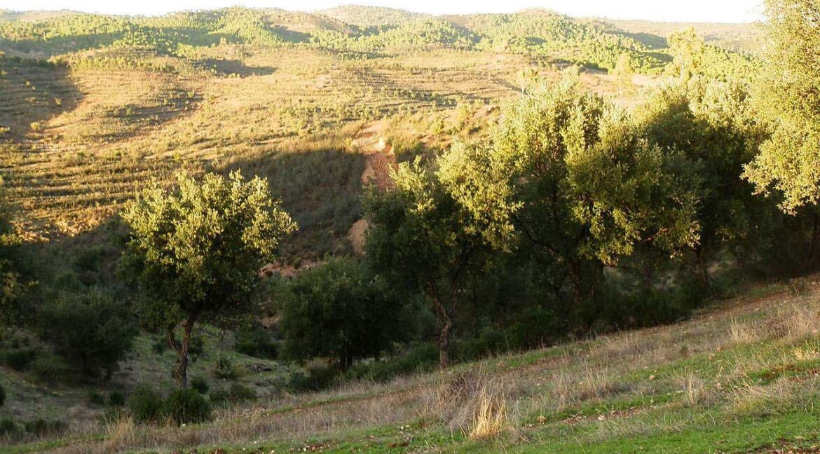 682_fincas-en-venta-71