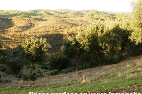 682_fincas-en-venta-71