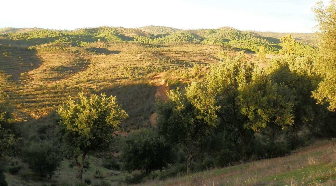 682_fincas-en-venta-72