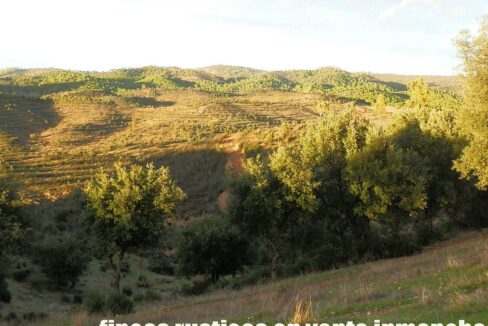 682_fincas-en-venta-72